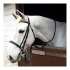 Business 1 image PHASE EIGHT Ladies Clothes Shops in Marlow Bu