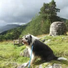 Business 3 image PHILLIP & EUGENIA LTD Hairdressers in New Malden Su