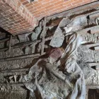 Business 2 image PIGEON CONTROL UK Pest & Animal Control in Reading Be