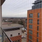 Business 5 image PIGEON CONTROL UK Pest & Animal Control in Reading Be