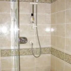 Business 3 image PINE TREE NEWSAGENTS Newsagents in Bedworth Wa