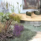 Business 4 image PLANTSMAN GARDEN SERVICES Garden Services in Nottingham No