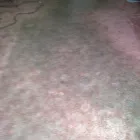 Business 12 image PLATINUM CARPET CARE Carpet & Upholstery Cleaners in Glasgow La