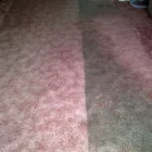 Business 4 image PLATINUM CARPET CARE Carpet & Upholstery Cleaners in Glasgow La