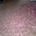 Business 6 image PLATINUM CARPET CARE Carpet & Upholstery Cleaners in Glasgow La