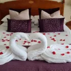 Business 9 image PLATINUM LAUNDRY SERVICES Launderettes in WIMBORNE Do