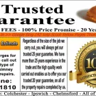 Business 1 image POINTING SPECIALIST Home Improvement in Colchester Es