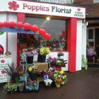 Business 6 image POPPIES FLORIST BOURNEMOUTH LIMITED Florists in Bournemouth Do