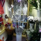 Business 2 image POPPIES FLORIST BOURNEMOUTH LIMITED Florists in Bournemouth Do