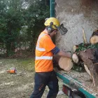 Business 3 image PRAGMATIX - UK LTD Health & Safety Consultants in Beaconsfield Bu