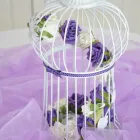 Business 3 image PREMIER NUTRITION Department Stores in Bolton La