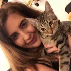 Business 1 image PREMIER PET CARE LONDON Pets & Animals in London Gr