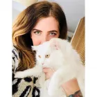 Business 2 image PREMIER PET CARE LONDON Pets & Animals in London Gr