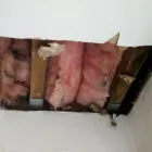 Business 12 image PRIMESHIELD ROOFING Roofing Contractors in Coventry We