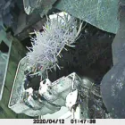 Business 27 image PRO CLEAN Gutter & Downspout Installation & Repair in Nuneaton Wa