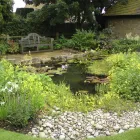 Business 7 image PRUNE & PLANT Garden Services in Milton Keynes Bu