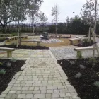 Business 8 image PRUNE & PLANT Garden Services in Milton Keynes Bu