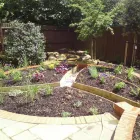 Business 4 image PRUNE & PLANT Garden Services in Milton Keynes Bu