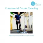 Business 3 image PURE CLEANING (SCOTLAND) LTD Window Cleaners in Edinburgh Edh