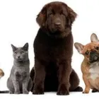 Business 7 image R.O.K ACCESSORIES Jewellers in Nottingham No