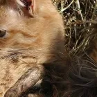 Business 2 image R.O.K ACCESSORIES Jewellers in Nottingham No