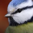 Business 3 image R.O.K ACCESSORIES Jewellers in Nottingham No