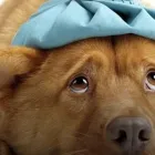 Business 4 image R.O.K ACCESSORIES Jewellers in Nottingham No