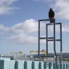 Business 2 image RA BRUCE DECORATORS LTD Painting Contractors in Liverpool Me