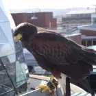 Business 1 image RA BRUCE DECORATORS LTD Painting Contractors in Liverpool Me