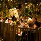 Business 5 image RAINFOREST CAFE Restaurants in London Gr