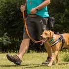 Business 1 image REBEL DOG CO Pets & Animals in CHRISTCHURCH Do