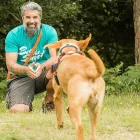 Business 2 image REBEL DOG CO Pets & Animals in CHRISTCHURCH Do