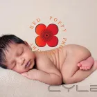 Business 6 image RED POPPY PHOTOGRAPHY Shopping & Retail in UXBRIDGE Gr