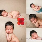 Business 8 image RED POPPY PHOTOGRAPHY Shopping & Retail in UXBRIDGE Gr