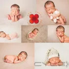 Business 9 image RED POPPY PHOTOGRAPHY Shopping & Retail in UXBRIDGE Gr