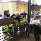 Business 1 image REDDISH VALE FARM Farmers in Stockport Ch