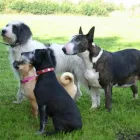 Business 1 image RETRORETRO Collectors' Items in Sherborne Do