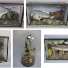 Business 19 image RICHARD WINTERTON AUCTIONEERS Removals & Relocation Services in Lichfield St