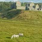 Business 2 image ROAD RUNNERS INTERNATIONAL LTD Van Hire in Dartford Ke