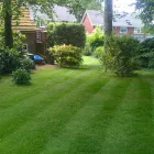 Business 1 image ROB THE GARDENER Garden Services in Exeter De