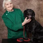 Business 1 image ROBERT YOUNG VETS, KELSO Veterinary Services in Kelso Ro