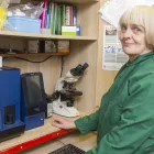 Business 2 image ROBERT YOUNG VETS, KELSO Veterinary Services in Kelso Ro
