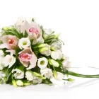 Business 1 image ROMANCE FLOWERS Wedding Flowers in London Gr