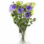 Business 4 image ROSEUM Shopping & Retail in Swindon Wi