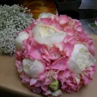 Business 8 image ROY TEMPLE POLISHING French Polishers in Reading Be