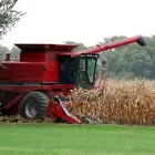 Business 1 image ROYAL BANK OF SCOTLAND Banks & Financial Institutions in Wigan La