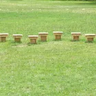 Business 3 image RSF BUILDING SERVICES LTD Building Maintenance & Repairs in Hornchurch Gr