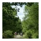 Business 1 image RUMNEY P.O Post Offices in Cardiff So