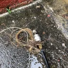 Business 6 image S&C DRAIN SERVICES LTD Waste Management in Bolton Gr