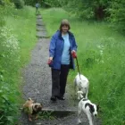 Business 6 image S & J PET SERVICES Pets & Animals in Blackburn La